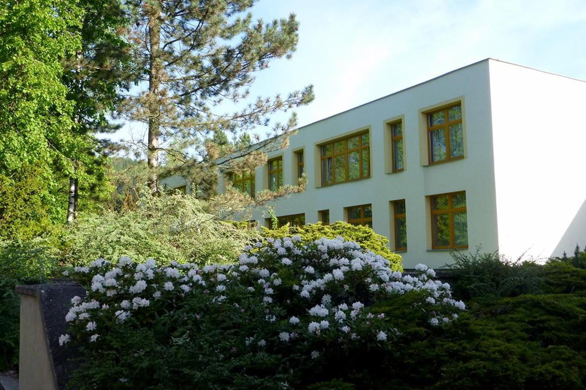 Penzion Fit Velké Losiny Eksteriør billede